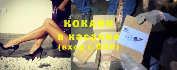 ешки Алексин