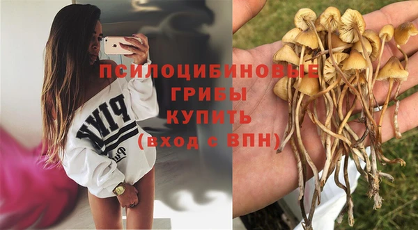 ешки Алексин