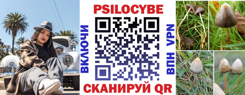 Псилоцибиновые грибы GOLDEN TEACHER  наркота  Полевской 